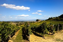 Montepulciano